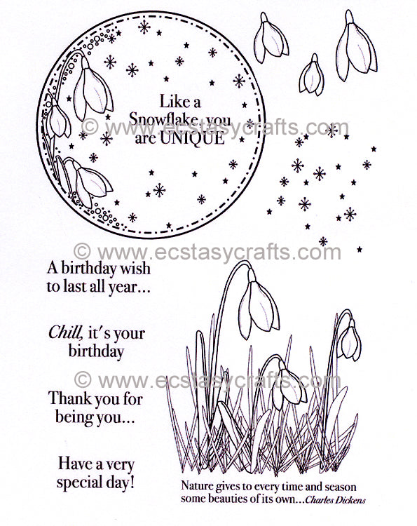 Creative Expressions - Clear Stamps - Snowdrop Elements