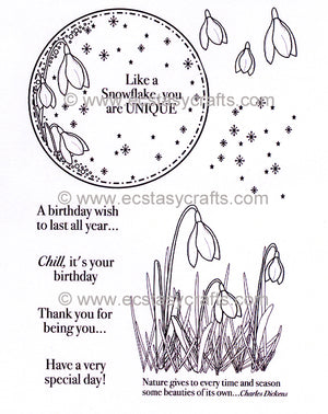 Creative Expressions - Clear Stamps - Snowdrop Elements