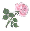 Frog's Whiskers Stamps - Favourite Rose