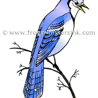 Frog's Whiskers Stamps - Blue jay on a Branch