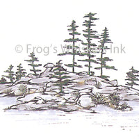 Frog's Whiskers Stamps - Picnic Island