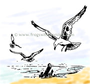 Frog's Whiskers Stamps - Sea Gulls