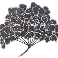 Frog's Whiskers Stamps - Hyrdangea Flower Solid