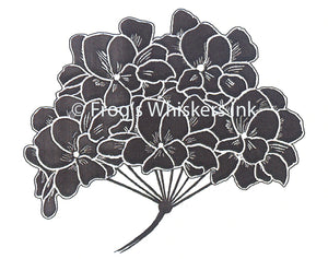 Frog's Whiskers Stamps - Hyrdangea Flower Solid
