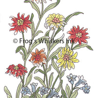 Frog's Whiskers Stamps - Summer Flowers