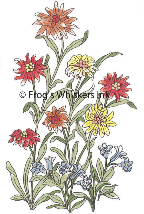 Frog's Whiskers Stamps - Summer Flowers