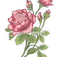 Frog's Whiskers Stamps - Rose Spray