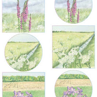 Marianne Design Cutting Sheet Tiny's Flower Meadow 2